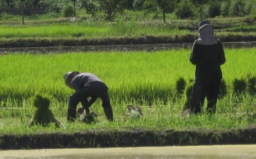 oorgrense thailand